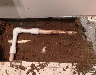 青龙测漏水哪家好